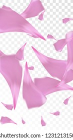 Pink Rose Petals Falling Down. Isolated Vector illustration of Rose Petals. Flying Pink Sakura Blossom Background. Design of Greeting or Invitation Card. 
