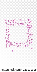 Pink Rose Petals Falling Down. Isolated Vector illustration of Rose Petals. Flying Pink Sakura Blossom Background. Design of Greeting or Invitation Card. 
