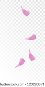 Pink Rose Petals Falling Down. Isolated Vector illustration of Rose Petals. Flying Pink Sakura Blossom Background. Design of Greeting or Invitation Card. 
