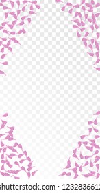 Pink Rose Petals Falling Down. Isolated Vector illustration of Rose Petals. Flying Pink Sakura Blossom Background. Design of Greeting or Invitation Card. 
