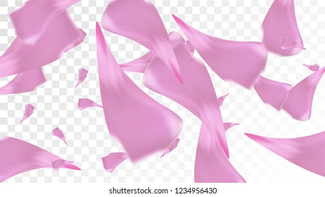 Pink Rose Petals Falling Down. Isolated Vector illustration of Rose Petals. Flying Pink Sakura Blossom Background. Design of Greeting or Invitation Card. 

