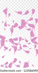 Pink Rose Petals Falling Down. Isolated Vector illustration of Rose Petals. Flying Pink Sakura Blossom Background. Design of Greeting or Invitation Card. 
