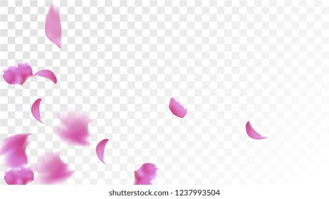 夏和柄 Stock Vectors Images Vector Art Shutterstock