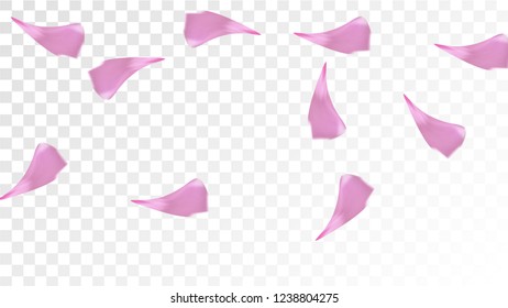 Pink Rose Petals Falling Down. Isolated Vector illustration of Rose Petals. Flying Pink Sakura Blossom Background. Design of Greeting or Invitation Card. 
