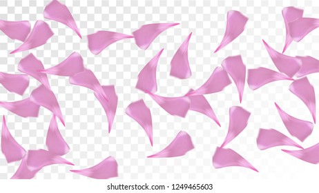 Pink Rose Petals Falling Down. Isolated Vector illustration of Rose Petals. Flying Pink Sakura Blossom Background. Design of Greeting or Invitation Card. 
