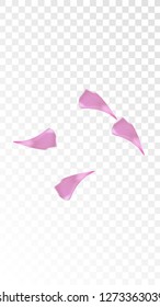 Pink Rose Petals Falling Down. Isolated Vector illustration of Rose Petals. Flying Pink Sakura Blossom Background. Design of Greeting or Invitation Card. 
