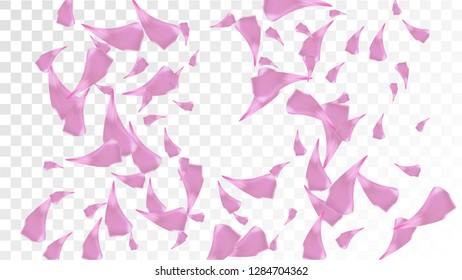 Pink Rose Petals Falling Down. Isolated Vector illustration of Rose Petals. Flying Pink Sakura Blossom Background. Design of Greeting or Invitation Card. 

