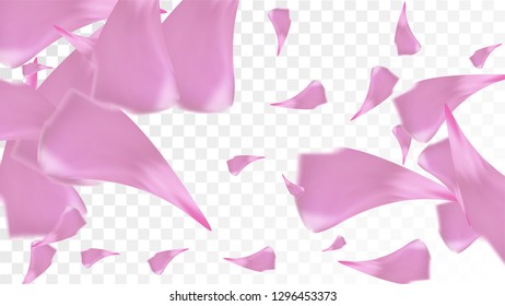 Pink Rose Petals Falling Down. Isolated Vector illustration of Rose Petals. Flying Pink Sakura Blossom Background. Design of Greeting or Invitation Card. 
