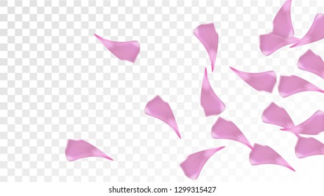 Pink Rose Petals Falling Down. Isolated Vector illustration of Rose Petals. Flying Pink Sakura Blossom Background. Design of Greeting or Invitation Card. 
