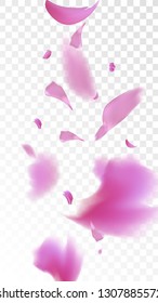 Pink Rose Petals Falling Down. Isolated Vector illustration of Rose Petals. Flying Pink Sakura Blossom Background. Design of Greeting or Invitation Card. 
