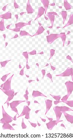 Pink Rose Petals Falling Down. Isolated Vector illustration of Rose Petals. Flying Pink Sakura Blossom Background. Design of Greeting or Invitation Card. 
