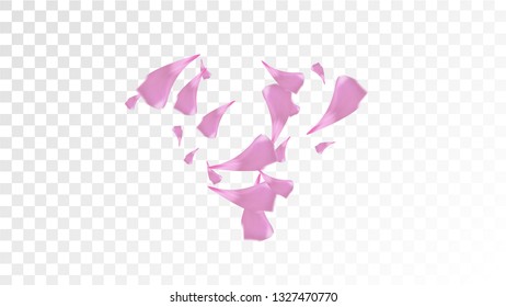 Pink Rose Petals Falling Down. Isolated Vector illustration of Rose Petals. Flying Pink Sakura Blossom Background. Design of Greeting or Invitation Card. 
