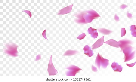 Pink Rose Petals Falling Down. Isolated Vector illustration of Rose Petals. Flying Pink Sakura Blossom Background. Design of Greeting or Invitation Card. 
