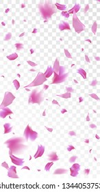 Pink Rose Petals Falling Down. Isolated Vector illustration of Rose Petals. Flying Pink Sakura Blossom Background. Design of Greeting or Invitation Card. 
