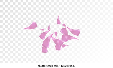 Pink Rose Petals Falling Down. Isolated Vector illustration of Rose Petals. Flying Pink Sakura Blossom Background. Design of Greeting or Invitation Card. 
