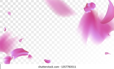 Pink Rose Petals Falling Down. Isolated Vector illustration of Rose Petals. Flying Pink Sakura Blossom Background. Design of Greeting or Invitation Card. 
