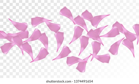 Pink Rose Petals Falling Down. Isolated Vector illustration of Rose Petals. Flying Pink Sakura Blossom Background. Design of Greeting or Invitation Card. 
