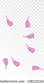 Pink Rose Petals Falling Down. Isolated Vector illustration of Rose Petals. Flying Pink Sakura Blossom Background. Design of Greeting or Invitation Card. 
