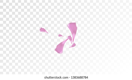 Pink Rose Petals Falling Down. Isolated Vector illustration of Rose Petals. Flying Pink Sakura Blossom Background. Design of Greeting or Invitation Card. 

