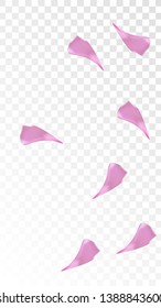 Pink Rose Petals Falling Down. Isolated Vector illustration of Rose Petals. Flying Pink Sakura Blossom Background. Design of Greeting or Invitation Card. 
