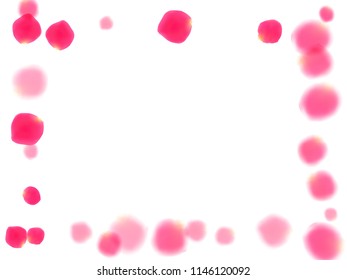 Pink rose petals falling vector valentine background. Idyllic showering flower bloom parts vector. Crimson rose red pink petals spa background. Valentine or natural cosmetics design.