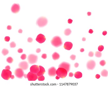 Pink rose petals falling vector valentine background. Blowing showering flower blossom parts vector. Crimson rose red pink petals spa background. Wedding invitation or natural cosmetics design.