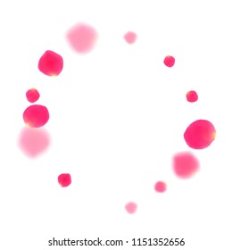 Pink rose petals falling vector valentine background. Romantic showering flower blooming parts vector. Crimson rose red pink petals spa background. Valentine or natural cosmetics design.