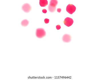 Pink rose petals falling vector valentine background. Magic showering flower blooming parts vector. Crimson rose red pink petals spa background. Birthday or natural cosmetics design.