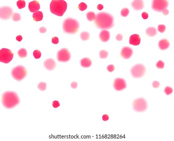 Pink rose petals falling vector valentine background. Abstract showering flower blossom parts vector. Crimson rose red pink petals spa background. Valentine or natural cosmetics design.