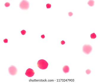 Pink rose petals falling vector valentine background. Elegant showering flower blooming parts vector. Crimson rose red pink petals spa background. Wedding invitation or natural cosmetics design.