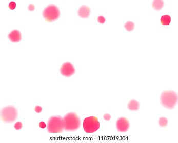 Pink rose petals falling vector valentine background. Light showering flower blossom parts vector. Crimson rose red pink petals spa background. Anniversary or natural cosmetics design.