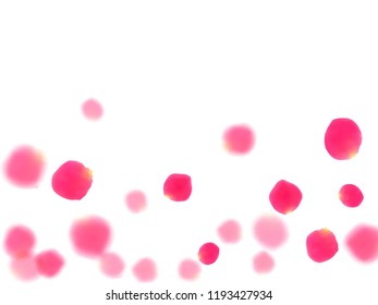 Pink rose petals falling vector valentine background. Romantic 3d flower parts shower isolated on white. Crimson rose red pink petals spa background. Wedding invitation or natural cosmetics design.