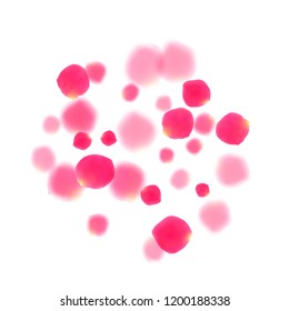 Pink rose petals falling vector valentine background. Magic 3d flower parts shower isolated on white. Crimson rose red pink petals spa background. Anniversary or natural cosmetics design.
