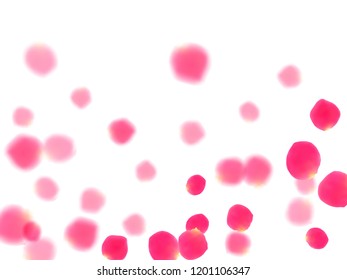 Pink rose petals falling vector valentine background. Light showering flower bloom parts vector. Crimson rose red pink petals spa background. Anniversary or natural cosmetics design.