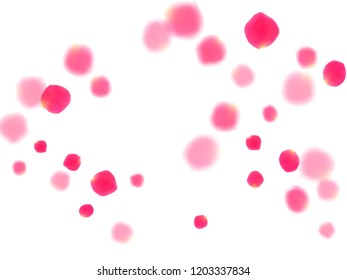Pink rose petals falling vector valentine background. Beautiful 3d flower parts shower isolated on white. Crimson rose red pink petals spa background. Birthday or natural cosmetics design.