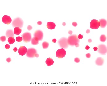 Pink rose petals falling vector valentine background. Detailed showering flower bloom parts vector. Crimson rose red pink petals spa background. Valentine or natural cosmetics design.