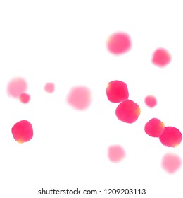 Pink rose petals falling vector valentine background. Blowing showering flower blossom parts vector. Crimson rose red pink petals spa background. Valentine or natural cosmetics design.