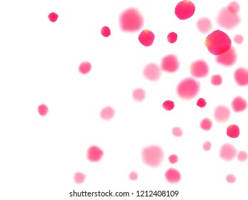 Pink rose petals falling vector valentine background. Beautiful 3d flower parts shower isolated on white. Crimson rose red pink petals spa background. Birthday or natural cosmetics design.