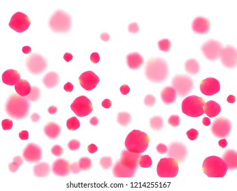 Pink rose petals falling vector valentine background. Chaotic showering flower bloom parts vector. Crimson rose red pink petals spa background. Anniversary or natural cosmetics design.