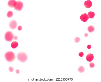 Pink rose petals falling vector valentine background. Fresh showering flower blooming parts vector. Crimson rose red pink petals spa background. Birthday or natural cosmetics design.