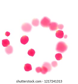 Pink rose petals falling vector valentine background. Gentle 3d flower parts shower isolated on white. Crimson rose red pink petals spa background. Valentine or natural cosmetics design.