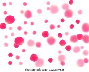 Pink rose petals falling vector valentine background. Realistic 3d flower parts shower isolated on white. Crimson rose red pink petals spa background. Wedding invitation or natural cosmetics design.