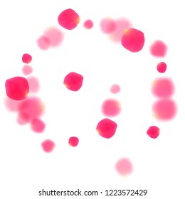 Pink rose petals falling vector valentine background. Chaotic 3d flower parts shower isolated on white. Crimson rose red pink petals spa background. Valentine or natural cosmetics design.