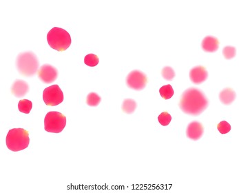 Pink rose petals falling vector valentine background. Romantic showering flower blossom parts vector. Crimson rose red pink petals spa background. Anniversary or natural cosmetics design.