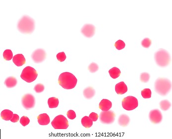 Pink rose petals falling vector valentine background. Tender showering flower blossom parts vector. Crimson rose red pink petals spa background. Wedding invitation or natural cosmetics design.