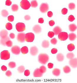 Pink rose petals falling vector valentine background. Gentle 3d flower parts shower isolated on white. Crimson rose red pink petals spa background. Anniversary or natural cosmetics design.