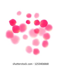 Pink rose petals falling vector valentine background. Fresh 3d flower parts shower isolated on white. Crimson rose red pink petals spa background. Valentine or natural cosmetics design.