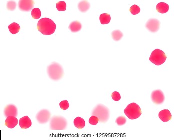 Pink rose petals falling vector valentine background. Natural showering flower bloom parts vector. Crimson rose red pink petals spa background. Valentine or natural cosmetics design.