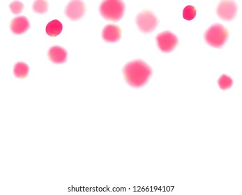 Pink rose petals falling vector valentine background. Delicate showering flower bloom parts vector. Crimson rose red pink petals spa background. Valentine or natural cosmetics design.