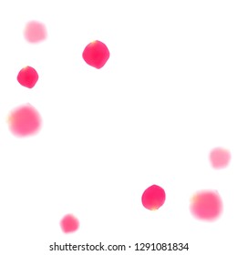 Pink rose petals falling vector valentine background. Elegant 3d flower parts shower isolated on white. Crimson rose red pink petals spa background. Valentine or natural cosmetics design.